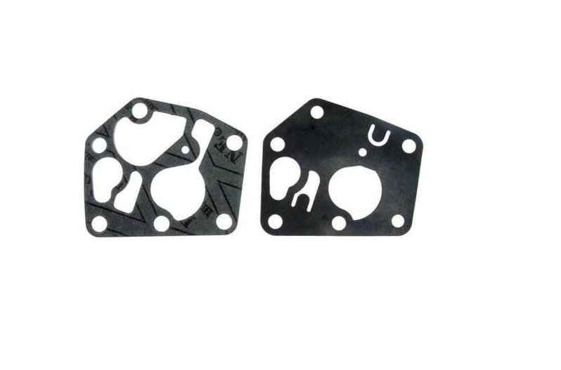 Membrana s tesnenim BRIGGS 495770