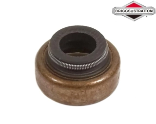 Tesnenie ventilu Briggs & Stratton originál